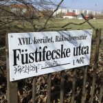 UTCANEVEINK